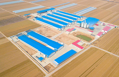 Hebei Shuangrong project